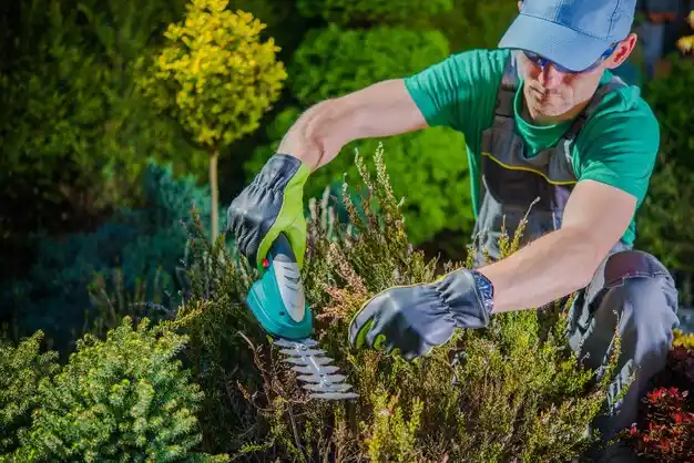landscaping services Great Neck Gardens